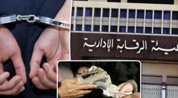 جنايات الجيزة.. محاكمة مسؤول حكومي بتهمة الرشوة واستغلال النفوذ لتأجير محلات متميزة